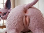 anus bed close-up crotch_focus female feral forehead_gem fur furniture genitals inside looking_at_viewer looking_back looking_back_at_viewer on_bed pink_body pink_fur purple_eyes pussy realistic realistic_feral realistic_fur solo whiskers window jelloponies eeveelution espeon felid generation_2_pokemon mammal pokemon_(species) hi_res