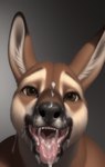 absurd_res ambiguous_gender anthro bedroom_eyes bodily_fluids cum cum_drip cum_in_mouth cum_inside cum_on_face cum_on_penis dripping excessive_cum excessive_genital_fluids feral genital_fluids genitals hi_res kangaroo looking_pleasured macropod male mammal marsupial messy mouth_shot narrowed_eyes open_mouth oral penis presenting_mouth seductive shuffur solo