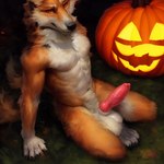 animal_genitalia animal_penis anthro balls canid canine canine_genitalia canine_penis countershade_fur countershade_torso countershading cynfall_northcote erection fox fur genitals jack-o'-lantern knot male mammal orange_body orange_fur penis prompt prompt_metainfo solo