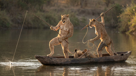 anthro boat duo female female/female fishing genitals knife melee_weapon nipples nude outside photorealism polearm pussy river rope spear tasteful_nudity vehicle water watercraft weapon tribalcat felid lion mammal pantherine hi_res
