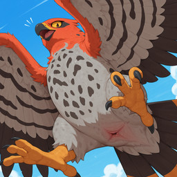 ambiguous_gender animal_genitalia bodily_fluids cloaca feral flying genitals outside sweat talons solbr nintendo pokemon avian generation_6_pokemon pokemon_(species) talonflame hi_res