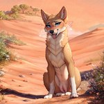 1:1 canid canine canis colored desert detailed detailed_background dingo female feral fur genitals hi_res lungfish1223 mammal pussy sitting_on_ground solo tongue tongue_out