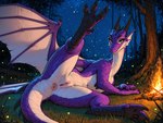 anthro anus black_claws black_horn claws countershading female fire genitals green_eyes horn looking_at_viewer lying night on_back outside presenting purple_body purple_scales pussy scales smile solo wings unknown_director arthropod beetle dragon elateroid firefly insect hi_res