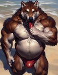 anthro beach belly biceps black_nose body_hair brown_body brown_fur bulge canid canine canis clothed clothing conchiglie dessert food fur happy_trail licking looking_at_viewer male mammal multicolored_body multicolored_fur musclegut muscular muscular_male navel nipples outside overweight overweight_male pecs popsicle seaside seductive solo speedo swimwear tongue tongue_out water white_body white_fur wolf yellow_eyes