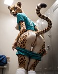 anthro anus bottomwear breasts butt clothed clothing clothing_lift female footwear genitals locker locker_room looking_back nipples open_mouth partially_clothed pussy rear_view scared shirt shirt_lift shorts shorts_down socks solo tail_up topwear zootopia keydraw kii_catano cheetah felid feline mammal hi_res