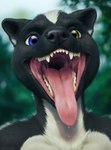 absurd_res anthro black_body black_fur blue_eyes bodily_fluids dripping fur gaping_mouth hi_res male mammal mephitid mouth_shot open_mouth presenting_mouth saliva saliva_drip saliva_on_tongue saliva_string skunk solo stablexai teeth tongue tongue_out vore white_body white_fur yellow_eyes