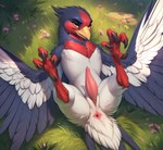 bedroom_eyes bodily_fluids detailed_feathers feathers feral flower genital_fluids genitals grass lying male narrowed_eyes on_back penis plant precum presenting seductive solo spread_wings talons wings lightning7 nintendo pokemon avian generation_3_pokemon pokemon_(species) swellow absurd_res detailed hi_res