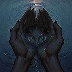 5_fingers anthro beak black_body black_claws black_fur claws female fingers fluffy fur green_sclera hand_focus looking_at_viewer reflection solo spots spotted_body spotted_fur star tuft water water_ripple oldhroft shadow_(oldhroft) avian velari
