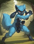 anthro fighting_pose looking_at_viewer male nude outside pose solo standing nonimousmate generation_4_pokemon pokemon_(species) riolu hi_res