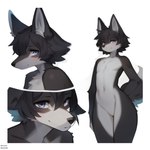 anthro black_body black_fur black_hair blue_eyes fur hair hips inner_ear_fluff looking_at_viewer male multicolored_body multicolored_fur multiple_angles neck_tuft small_waist smile solo tuft white_body white_fur direfelis_(director) canid canine canis mammal 2023 absurd_res hi_res portrait