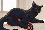 anus balls black_body black_fur feral fur genitals looking_at_viewer male pawpads paws penis slightly_chubby solo domestic_cat felid feline felis mammal