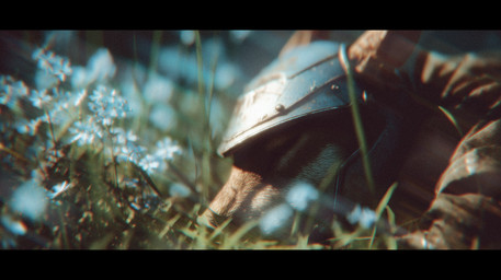 anthro armor black_bars brown_body brown_fur cinematic cinematic_lighting clothing eyes_closed fantasy flower fur grass headgear helmet lens_flare letterbox lying male on_front plant solo tired youssefalsuccjeeda canid canine mammal hi_res wallpaper