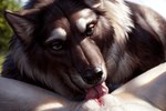 anthro brown_body brown_fur canid canine canineluvr19 close-up cunnilingus duo female female_pov first_person_view fur genitals hi_res licking male male/female mammal mane oral pussy sex spread_legs spreading tongue tongue_out vaginal whiskers white_body white_fur