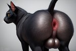 anus balls big_butt bodily_fluids butt detailed detailed_anus domestic_cat felid feline felis feral fur genitals grey_body grey_fur hi_res light lighting looking_at_viewer looking_back male mammal musk musk_clouds need_wiener_now photorealism photorealistic puffy_anus raised_tail rear_view solo sweat sweaty_anus sweaty_balls sweaty_genitalia tagme whiskers