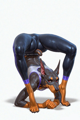 4_toes 5_fingers anthro athletic athletic_anthro athletic_female barefoot black_body black_clothing black_fur black_nose bottomwear bra breasts brown_body brown_fur butt camel_toe claws clothed clothing countershading digitigrade feet female finger_claws fingers flexible fur glistening glistening_body glistening_clothing handstand jewelry looking_at_viewer markings midriff multicolored_body multicolored_fur muscular muscular_female pants pawpads paws pose red_eyes shirt short_tail simple_background small_breasts smile solo sports_bra spread_legs spreading tail tank_top text text_on_clothing tight_bottomwear tight_clothing tight_pants toe_claws toes topwear two_tone_body two_tone_fur underwear upside_down white_background white_clothing yoga yoga_pants unknown_director canid canine canis dobermann domestic_dog mammal pinscher hi_res