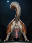 absurd_res animal_genitalia animal_penis anus ass_up balls black_body black_fur bodily_fluids butt canid canine canine_genitalia canine_penis canis domestic_dog faceless_character faceless_feral faceless_male feral fur genital_fluids genitals hi_res knot leaking_precum male mammal molosser mountain_dog outdoors outside penis pink_anus precum presenting presenting_anus presenting_hindquarters presenting_penis raised_tail saint_bernard shuffur signature smile solo spread_legs spreading white_body white_fur