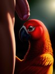 absurd_res ambiguous_gender avian beak bedroom_eyes bestiality bird detailed detailed_feathers duo feathers feral genitals hi_res human human_on_feral humanoid_genitalia humanoid_penis imminent_sex interspecies looking_at_viewer male male/ambiguous mammal narrowed_eyes parrot penis red_body red_feathers seductive shuffur smile wings