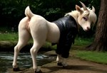 butt caprine_pussy clitoral_winking clitoris clothed clothed_feral clothing female feral genitals looking_at_viewer looking_back lying_on_ground presenting presenting_hindquarters presenting_pussy pussy realistic_feral river solo white_body mare_fan_ultimate bovid caprine goat mammal