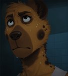 anthro black_eyes black_nose bodily_fluids brown_body brown_fur clothing fur looking_forward male mouth_closed multicolored_body multicolored_fur nervous shirt solo sweat tan_body tan_fur tank_top tile tile_wall topwear wall_(structure) white_clothing white_shirt white_topwear aislopper the_boondocks hyaenid mammal hi_res portrait