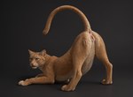 animal_genitalia animal_pussy anus feline_pussy female feral genitals paws pussy realistic solo uauaua111222 domestic_cat felid feline felis mammal absurd_res hi_res
