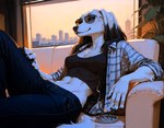 anthro ashtray cigarette city city_background cityscape eyewear female furniture sofa solo sunglasses anonymous_director canid canine canis domestic_dog hunting_dog mammal saluki sighthound hi_res