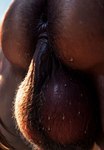 anthro anus balls bodily_fluids butt close-up dirty_anus genitals hairy hairy_ass male muscular musk pubes saggy_balls smelly solo solo_focus spread_butt spreading steam sweat sweaty_anus sweaty_balls sweaty_genitalia vein veiny_balls peyotecoyote peyotecoyote_(character) equid equine horse mammal