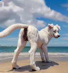 anatomically_correct anatomically_correct_genitalia anatomically_correct_pussy animal_genitalia animal_penis animal_pussy anthro anus beach beach_background canine_genitalia canine_pussy female feral fur genitals glistening glistening_genitalia glistening_pussy inviting looking_at_viewer looking_back looking_back_at_viewer outside penis presenting presenting_anus presenting_pussy public pussy raised_tail seaside smile smiling_at_viewer solo white_body white_fur rinic_(director) canid canine canis domestic_dog german_shepherd herding_dog mammal pastoral_dog