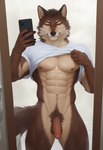 abs anthro balls bathroom bmrwcl bottomless brown_body brown_fur canid canine canis cellphone clothed clothing clothing_lift flaccid fur genitals hi_res looking_at_viewer male mammal mirror muscular muscular_anthro muscular_male nipples pecs penis phone reflection selfie shirt smile solo t-shirt topwear white_body white_fur wolf yellow_eyes