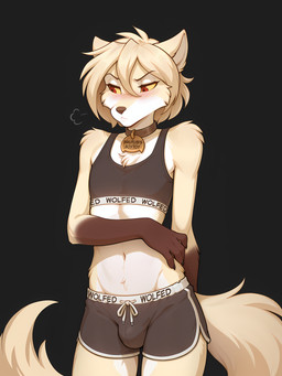 anthro blush bottomwear bra bulge clothed clothing collar femboy fur hair male shirt shorts simple_background solo text text_on_clothing text_on_shirt text_on_topwear text_on_underwear topwear training_bra underwear white_body white_fur anontk twokinds clovis_(twokinds) canid canine canis mammal hi_res