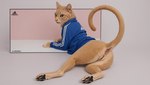 adidas anus female feral genitals paws pussy solo uauaua111222 domestic_cat felid feline felis mammal absurd_res hi_res