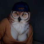 anthro backwards_hat beak big_breasts breasts cleavage clothed clothing feathers female fluffy hat headgear headwear huge_breasts neutral_expression realistic realistic_lighting solo sweater topwear yellow_sclera 8747928hp avian bird owl animated bust_portrait hi_res portrait webm