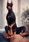 animal_genitalia canine_genitalia duo female feral fur genitals male male/female penetration pussy sex canid canine mammal hi_res