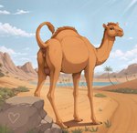 <3 animal_genitalia animal_pussy anus bedroom_eyes boulder brown_body brown_fur desert detailed_background female feral fur genitals looking_at_viewer narrowed_eyes oasis outside presenting presenting_pussy pussy quadruped raised_tail rock seductive solo teats udders terraraptor camel camelid dromedary mammal hi_res