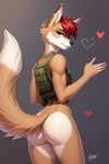 anthro canid canine fox hi_res male mammal solo