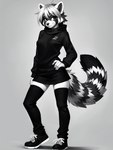 ailurid anthro bottomwear cheek_tuft clothed clothing facial_tuft female fluffy fluffy_tail footwear fur hair hand_on_hip hi_res hoodie inner_ear_fluff legwear mammal markings miniskirt monochrome multicolored_body multicolored_fur pose red_panda shoes short_hair simple_background skirt smile sneakers snowshoes solo standing stockings striped_markings striped_tail stripes sweater tail_markings thigh_highs topwear tuft yiffymix_(model)