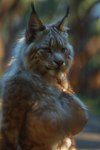 akhiezer animated anthro big_breasts breasts felid feline female lynx mammal muscular muscular_female nude solo whiskers