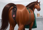 animal_genitalia animal_pussy anus beverage big_anus big_butt brown_body brown_eyes brown_fur brown_hair butt clothing coffee coffee_cup container cup equine_anus equine_genitalia equine_pussy female feral fur genitals hair pussy raised_tail rear_view smile solo standing mare_fan_ultimate equid equine horse mammal