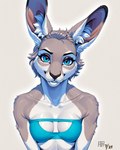 anthro black_nose blue_clothing blue_eyes breasts cleavage clothed clothing collarbone eyebrows eyelashes female fur grey_body grey_fur grey_hair hair inner_ear_fluff kangaroo_ears long_ears looking_at_viewer short_hair simple_background smile solo topwear tuft underwear white_body white_fur white_inner_ear_fluff aphid butterwolf kangaroo lagomorph macropod mammal marsupial attempted_signature bust_portrait half-length_portrait hi_res portrait shaded signature