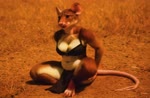 anthro bottomwear bra breasts brown_body brown_eyes chubby_anthro chubby_female clothing crossed_arms crossed_legs female grass loincloth medium_breasts plant sitting sitting_on_ground slightly_chubby solo standing thick_thighs underwear wide_hips 8747928hp mammal murid murine rat rodent absurd_res animated hi_res huge_filesize webm