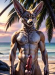 animal_genitalia animal_penis anthro balls beach canine_penis genitals knot looking_at_viewer male navel nipples nude penis pink_nipples pink_penis seaside solo standing marcus64 canid canine fennec fox mammal hi_res