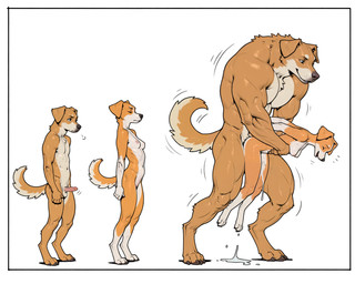 ambiguous_penetration annoyed anthro anthro_on_anthro anthro_penetrated anthro_penetrating anthro_penetrating_anthro balls before_and_after biped black_nose bodily_fluids body_size_growth border breasts brown_body brown_fur claws countershading cum cum_drip cum_inside cum_on_ground cum_pool digitigrade dominant dominant_male dripping duo erection feet female female_penetrated floppy_ears from_behind_position fur genital_fluids genitals growth humanoid_genitalia humanoid_penis intraspecies larger_male leaking_cum looking_pleasured male male/female male_penetrating male_penetrating_female multicolored_body multicolored_fur muscle_growth muscular muscular_anthro muscular_male nipples nude open_mouth orange_body orange_fur penetration penile penile_penetration penis realistic_penis_size sex simple_background size_difference size_transformation small_breasts smaller_female smaller_penetrated smile standing standing_sex tail tan_body tan_fur toe_claws toes transformation two_tone_body two_tone_fur vaginal white_background white_body white_border white_fur ahogagu bird_dog canid canine canis domestic_dog hunting_dog mammal hi_res linear_sequence sequence