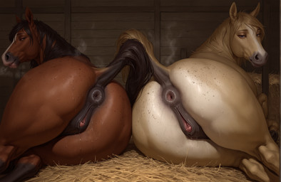 anal_juice animal_genitalia animal_pussy anus barn blue_eyes bodily_fluids breath brown_body brown_fur butt butt_focus clitoral_winking clitoris dripping duo equine_anus equine_genitalia equine_pussy female feral fur genital_fluids genitals hay hay_bale inside looking_at_another looking_at_viewer looking_back looking_back_at_viewer lying_on_side multicolored_body multicolored_fur on_ground presenting presenting_anus presenting_hindquarters presenting_pussy pussy pussy_juice pussy_juice_drip raised_tail rear_view steaming_body sweat sweaty_butt take_your_pick white_body unknown_director equid equine horse mammal hi_res