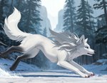 black_claws blue_eyes claws female feral hair motion_lines open_mouth pawpads pink_pawpads plant running snow solo tree white_hair acadus arctic_fox canid canine fox mammal hi_res