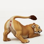 anus ass_up felid female feral genitals hellowhatisthis hi_res lion mammal pantherine presenting pussy raised_tail solo