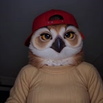 anthro backwards_hat beak big_breasts breasts clothing feathers female fluffy hat headgear headwear huge_breasts looking_at_viewer neutral_expression realistic realistic_lighting solo sweater topwear yellow_clothing yellow_sclera 8747928hp avian bird owl animated bust_portrait hi_res portrait webm