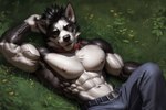 abs anthro areola askiewarg bedroom_eyes belt big_pecs border_collie bottomwear bulge canid canine canis clothing collie domestic_dog herding_dog male mammal muscular muscular_male narrowed_eyes nipples pants pastoral_dog pecs seductive sheepdog solo veiny_arm