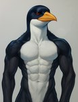 abs anthro athletic athletic_anthro athletic_male beak biceps feathers male muscular muscular_anthro muscular_male navel nude pecs solo birdovo avian bird penguin black_and_white hi_res monochrome