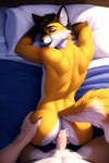 anal anal_penetration anthro bed bedroom black_hair bmrwcl bodily_fluids canid canine cum cum_in_ass cum_inside cum_on_penis duo first_person_view fluffy fluffy_tail fox fur furniture genital_fluids genitals hair hand_on_butt hi_res looking_back looking_pleasured male male/male mammal moan muscular orange_body orange_fur penetration penis tan_body tan_fur white_body white_fur