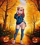 anthro autumn bottomless clothed clothing female food fruit genitals legwear looking_at_viewer plant pumpkin pussy scarf solo standing stockings sweater topwear denis0k lagomorph leporid mammal rabbit