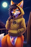 anthro ascar ascar_the_maned_fox_(character) balls black_hair blush canid canine clothing eyewear fox genitals girly glasses hair hoodie male mammal maned_wolf night penis small_penis solo topwear